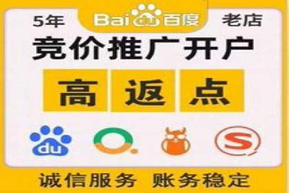 成功SEM主管的营销策略案例分享